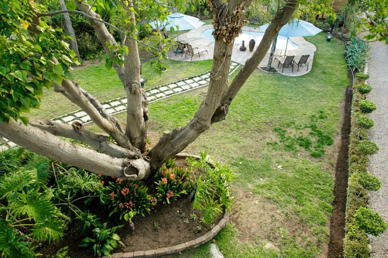 Oakdene Guest House Oudtshoorn Εξωτερικό φωτογραφία